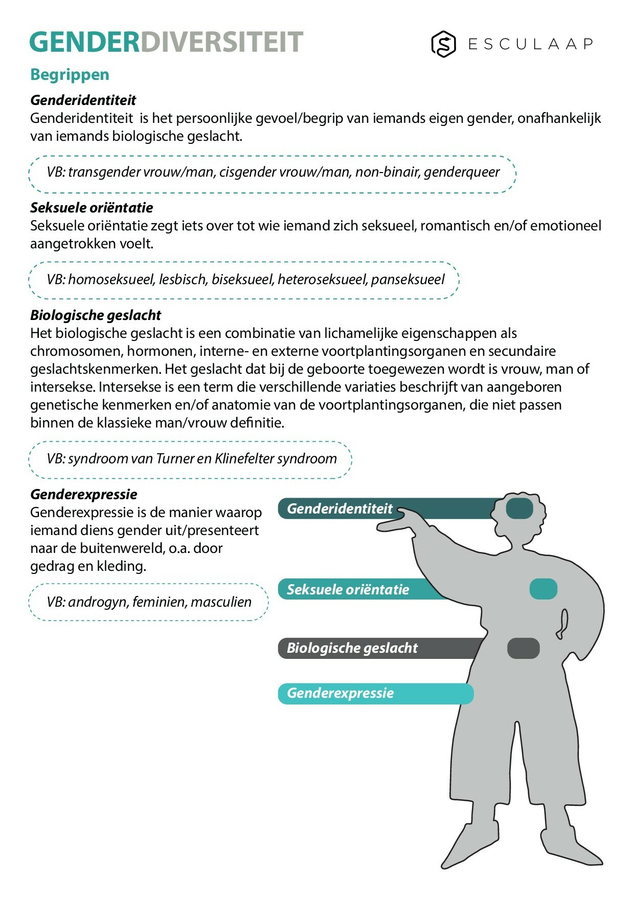 Voorbeeld van pagina 1 van Genderdiversiteit